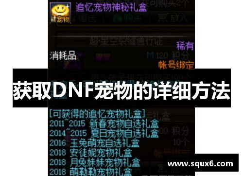 获取DNF宠物的详细方法