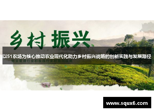 以51农场为核心推动农业现代化助力乡村振兴战略的创新实践与发展路径